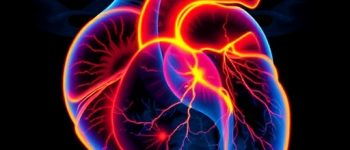PET-Imaging-of-Inflammation-Forecasts-Recovery-and-Informs-Treatment-Strategies-Following-Heart-Attack-1761164924.jpg